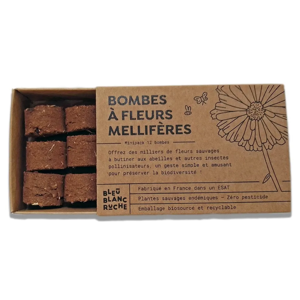 bleu-blanc-ruche-bombe-fleurs-12-bombes-graines-en-coton-bio image 1